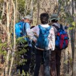 Morondava: 3-Day Tsingy de Bemaraha & Baobab Avenue Tour - Final Thoughts