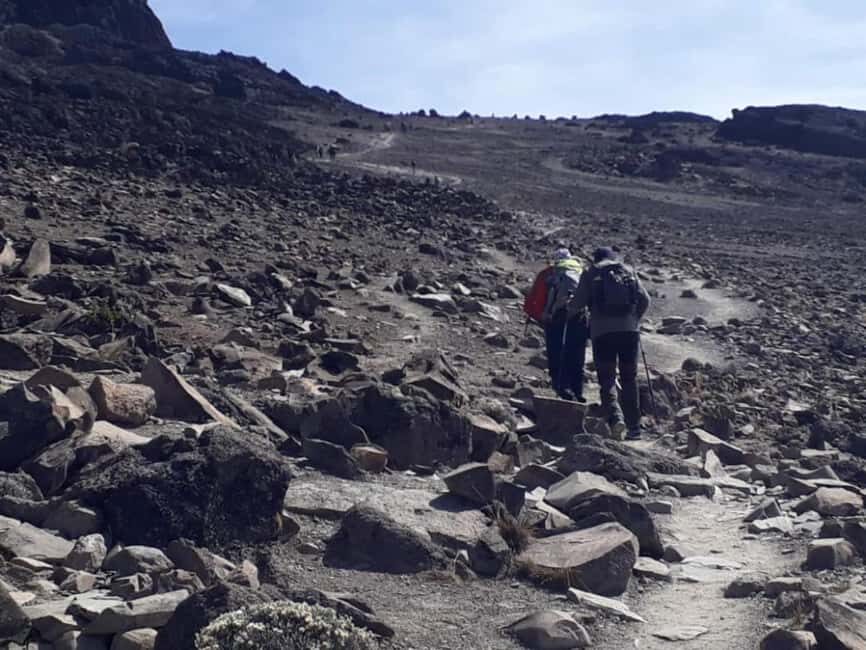 Moshi: 7 Days Rongai Route - FAQ