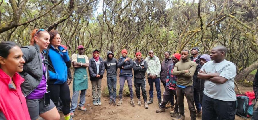 Moshi: 8-Day Kilimanjaro Lemosho Route Trek - Who Is This Trek Best Suited For?