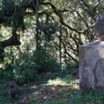 Moshi: *All-inclusive* Kilimanjaro Day Hike (Marangu Route) - Why This Tour Offers Great Value
