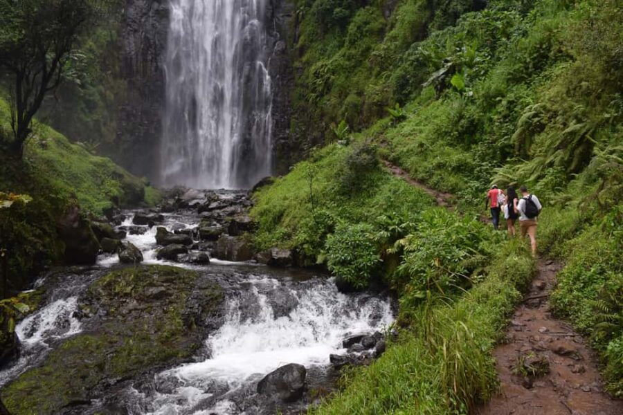 Moshi: Bike Tour to Materuni Waterfalls & Coffee Tour - What’s Included and What to Consider