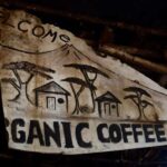 Moshi: Chagga Village Overnight with Second Day Options - Practical Details and Value
