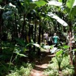 Moshi: Chagga Village Tour - Final Thoughts