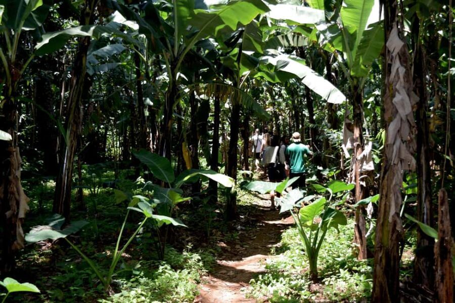 Moshi: Chagga Village Tour - Final Thoughts