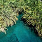 Moshi: Chemka Hot Springs and Forest Day Trip with Guide - Who Should Consider This Experience?