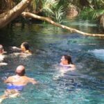Moshi: Chemka Hot Springs Day Trip - Final Thoughts: Is It Worth It?