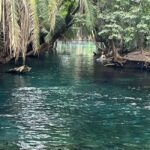 Moshi: Chemka Hot Springs Day Trip with Lunch - An In-Depth Look at the Chemka Hot Springs Day Trip