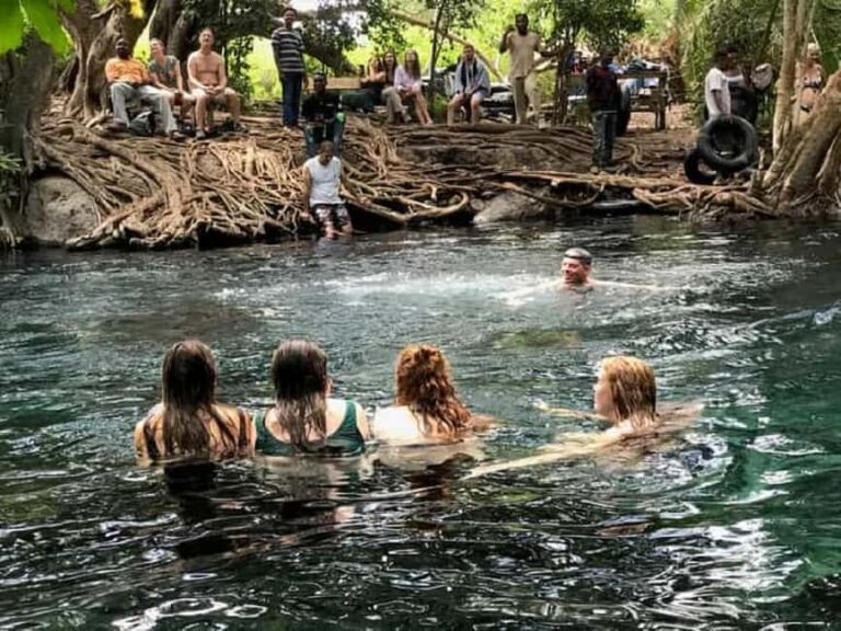 Moshi-Chemka Hot Springs tour with food and drinks - What Makes This Tour Stand Out?