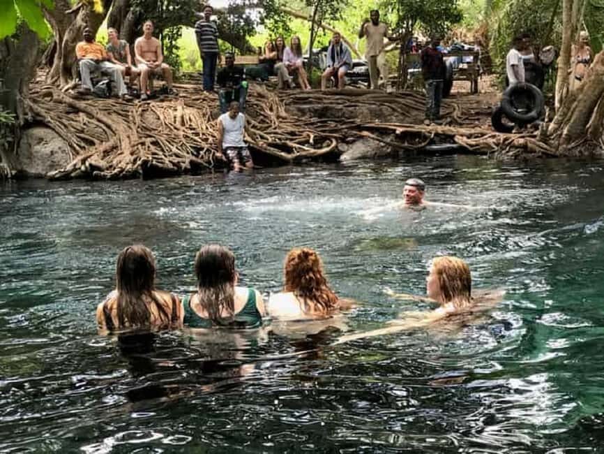 Moshi-Chemka Hot Springs tour with food and drinks - What Makes This Tour Stand Out?