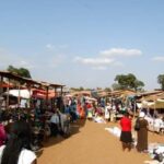 Moshi, Kilimanjaro: Local Market Shopping Experience - Practical Details and Value