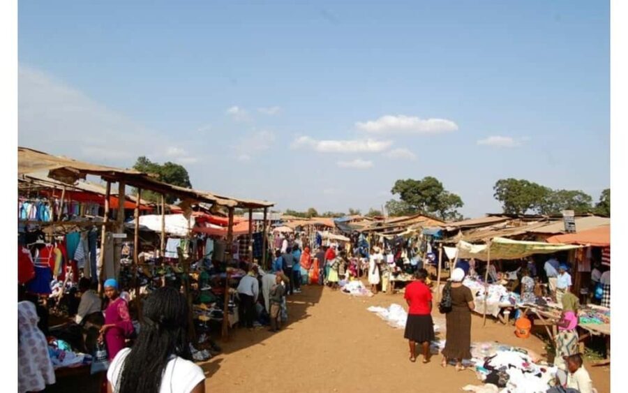 Moshi, Kilimanjaro: Local Market Shopping Experience - Practical Details and Value