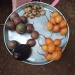Moshi: Materuni Village and Waterfalls Day Trip with Lunch - A Closer Look at what to Expect from the Tour