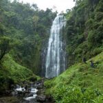 Moshi: Materuni Waterfall and Coffee Tour with Lunch - Practical Details and Tips
