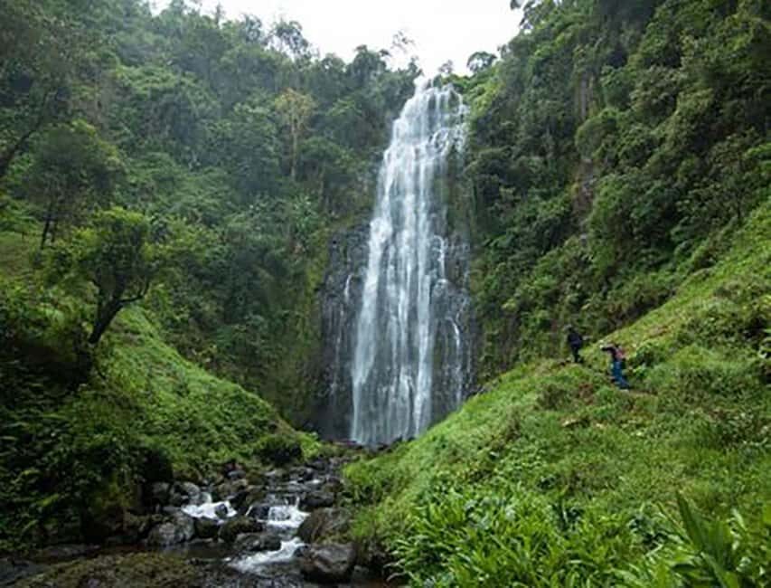 Moshi: Materuni Waterfall and Coffee Tour with Lunch - Practical Details and Tips