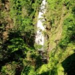 Moshi: Materuni Waterfall and Coffee Tour with Lunch - What Makes This Tour Stand Out