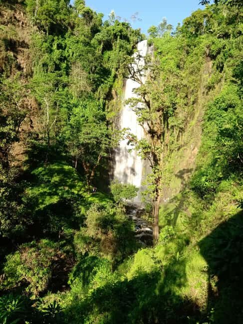 Moshi: Materuni Waterfall and Coffee Tour with Lunch - What Makes This Tour Stand Out