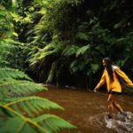 Moshi: Materuni Waterfalls and Coffee Tour with Lunch - Trekking to Materuni Waterfalls