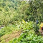 Moshi: Materuni Waterfalls, Coffee, and Hotsprings tour - What Travelers Are Saying