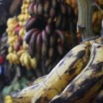 Moshi: Night Market Tour with Street Food and Local Guide - Why This Tour Offers Great Value for Money