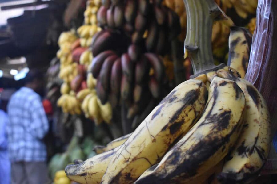 Moshi: Night Market Tour with Street Food and Local Guide - Why This Tour Offers Great Value for Money