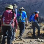 Moshi: Shira Plateau Day Trip with Hike and Scenic Drive - A Detailed Look at the Tour