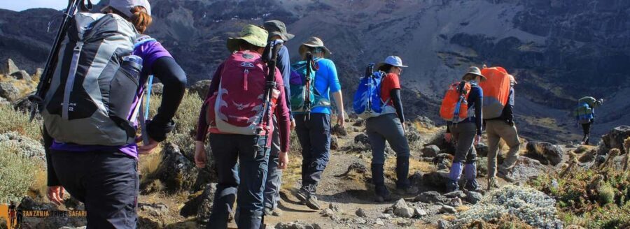 Moshi: Shira Plateau Day Trip with Hike and Scenic Drive - A Detailed Look at the Tour