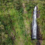 Moshi:Chemka Hot Springs, Materuni Waterfalls & Coffee Tour - The Materuni Waterfalls & Coffee Experience