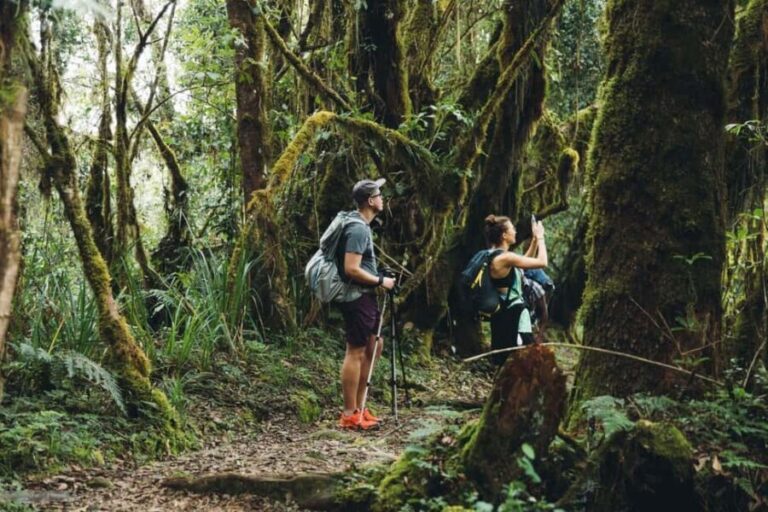 Moshi:Mount Kilimanjaro Day Hike with Mandara Hut Trek - The Side Trip to Maundi Crater