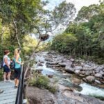Mossman Gorge Adventure Day - Snorkeling in Mossman River: A Refreshing Water-Based Adventure