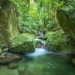 Mossman Gorge: Day Tour with River Drift Experience - Who Will Love This Tour?
