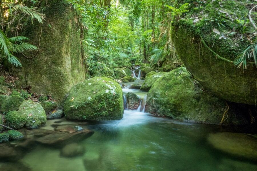 Mossman Gorge: Day Tour with River Drift Experience - Who Will Love This Tour?