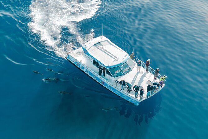 Motuara Wildlife Sanctuary Tour and Dolphin Cruise from Picton - Who Would Love This Tour?