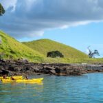 Motukorea / Browns Island Sea Kayak Journey - The Highlights and Unique Touches