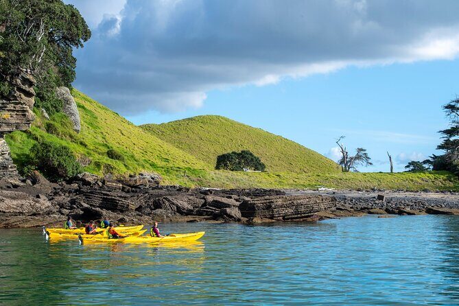 Motukorea / Browns Island Sea Kayak Journey - The Highlights and Unique Touches