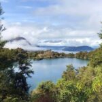 Mou Waho Island Cruise & Self-Guided Nature Walk - Mou Waho Island: The Heart of the Experience