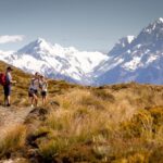 Mount Cook: Glentanner High Country Heli Hike - What to Expect: Practical Details and Tips