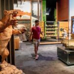 Mount Isa: Riversleigh Fossil Discovery Centre Guided Tour - FAQ