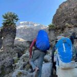Mount Kilimanjaro: 7 Days Trekking - Lemosho Route - The Itinerary Breakdown