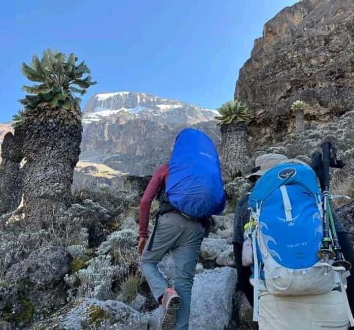 Mount Kilimanjaro: 7 Days Trekking - Lemosho Route - The Itinerary Breakdown