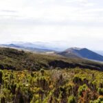 Mount Kilimanjaro Day-hike through marangu gate - Why This Experience Has Its Charm