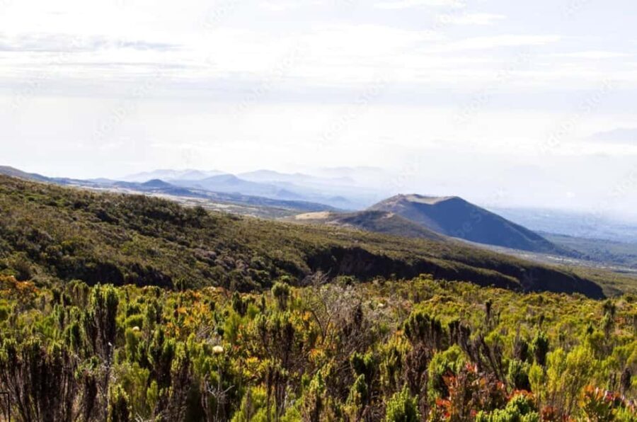 Mount Kilimanjaro Day-hike through marangu gate - Why This Experience Has Its Charm