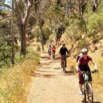 Mount Lofty Descent Bike Tour from Adelaide - What to Expect and Practical Details
