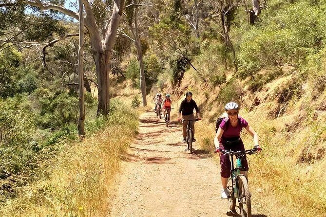 Mount Lofty Descent Bike Tour from Adelaide - What to Expect and Practical Details