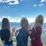 Mount Tamborine Wine Tasting Tour from Brisbane or the Gold Coast - Lunch with a View: A Gourmet 2-Course Meal