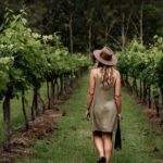 Mount Tamborine Winery Tour with Gourmet lunch - Practical Details and Traveler Experience