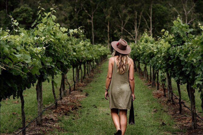 Mount Tamborine Winery Tour with Gourmet lunch - Practical Details and Traveler Experience