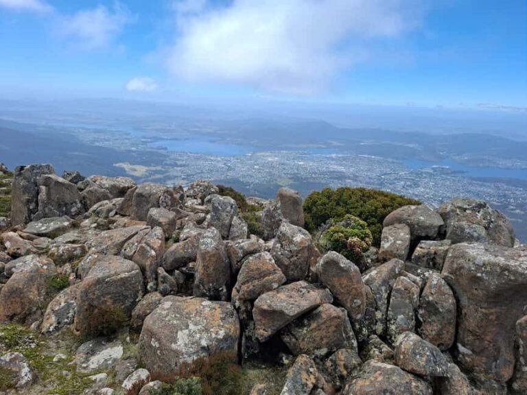 Mount Wellington Shore Excursion - What to Expect from the Mount Wellington Shore Excursion