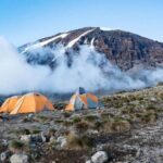 Mountain Kilimanjaro: 7-Day Machame Route adventure Trek - What Makes This Tour Stand Out?