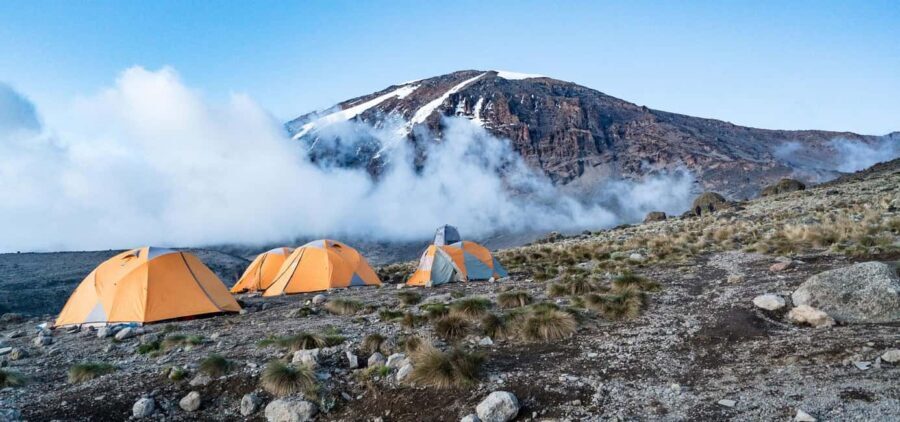 Mountain Kilimanjaro: 7-Day Machame Route adventure Trek - What Makes This Tour Stand Out?