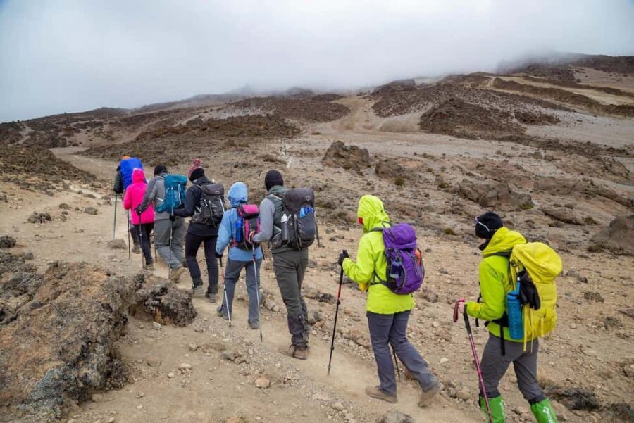 Mountain Kilimanjaro Day Hike - FAQs